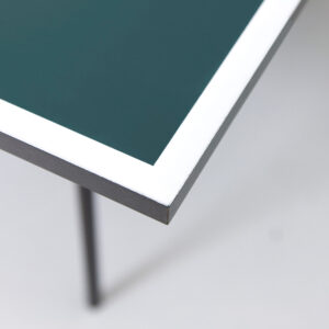 Tafeltennisblad Groen